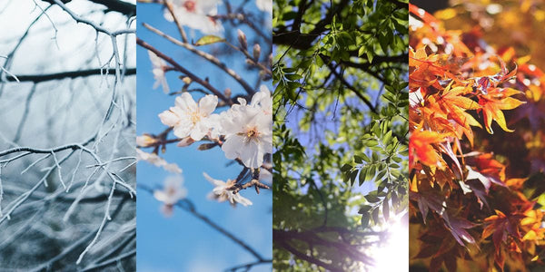 How to care for your skin through the seasons